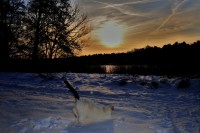 /album/www-pix-fx-de/bild-125-jpg/